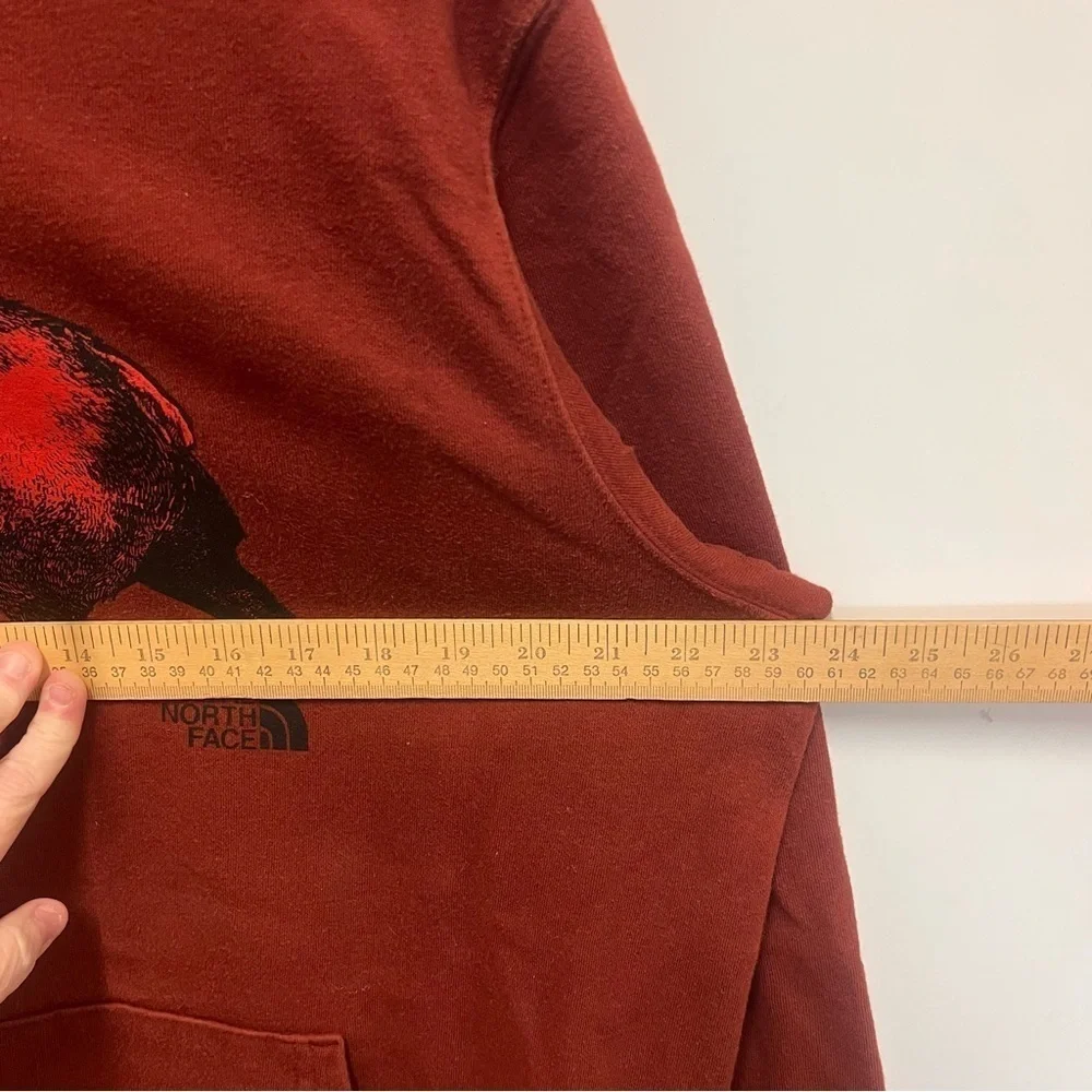THE NORTH FACE Men's Large Red Bear Pullover Hoodie Sweatshirt TNF